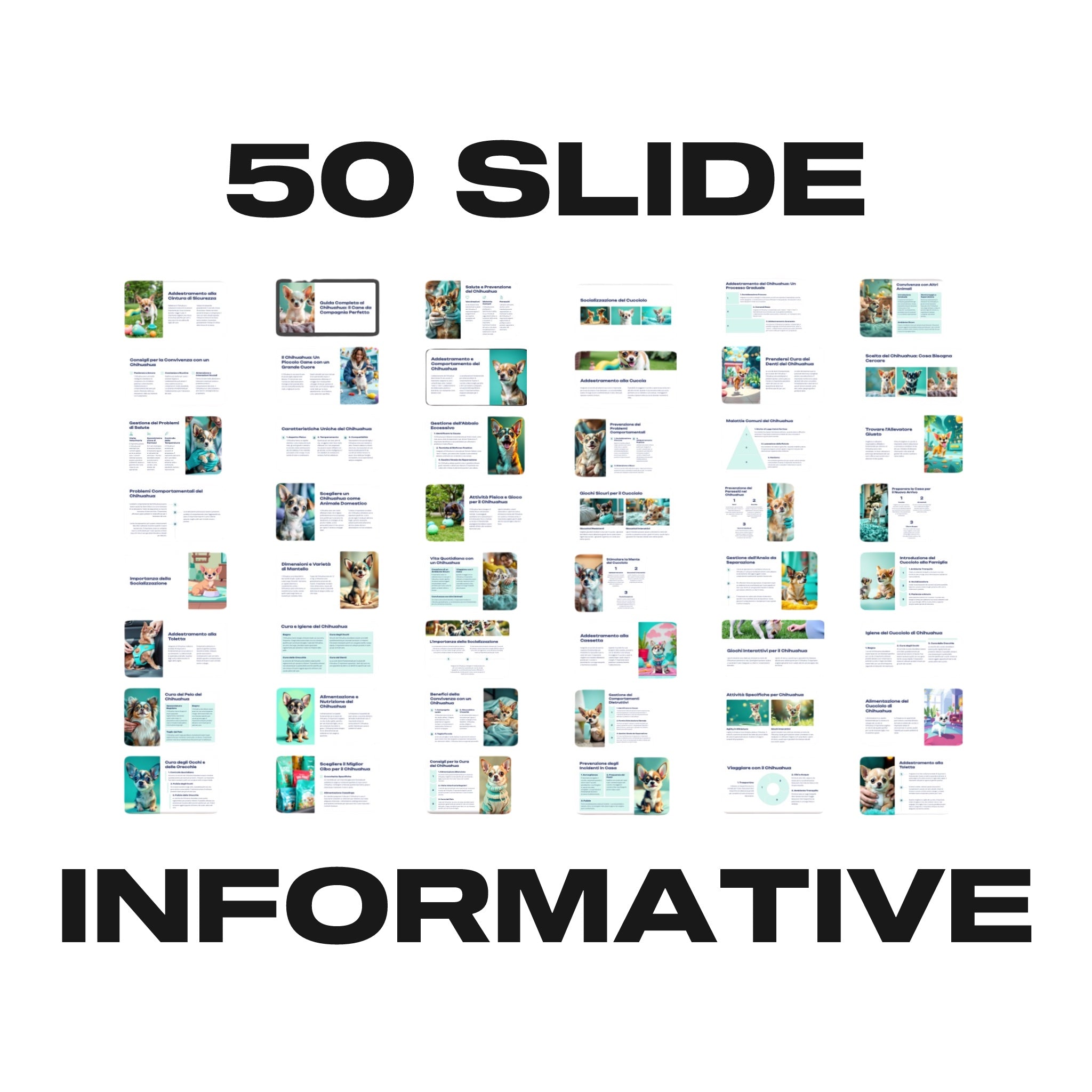 Guida Completa al Chihuahua - 50 Slide informative per un Cane Felice e in Salute